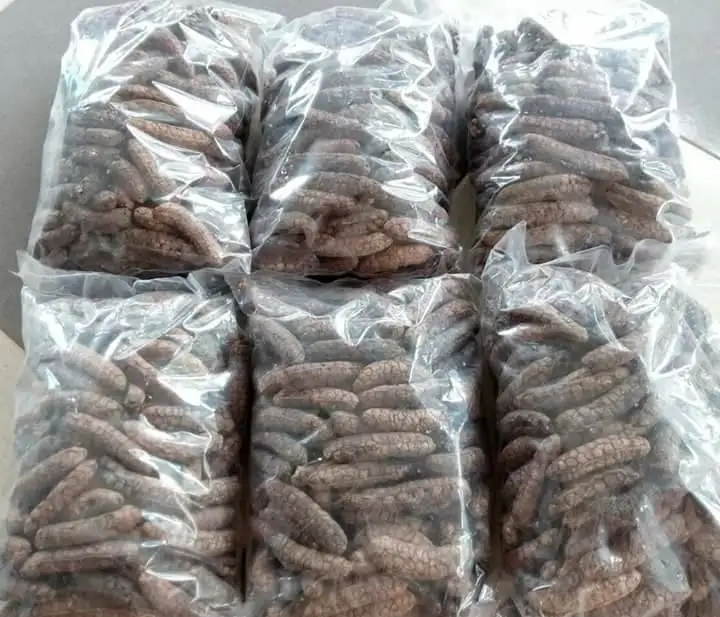 
balbisiana/ musa balbisiana /Dried Wild Banana - Seeded Banana ( HOT SALE) /Whatsapp: +84-845-639-639 