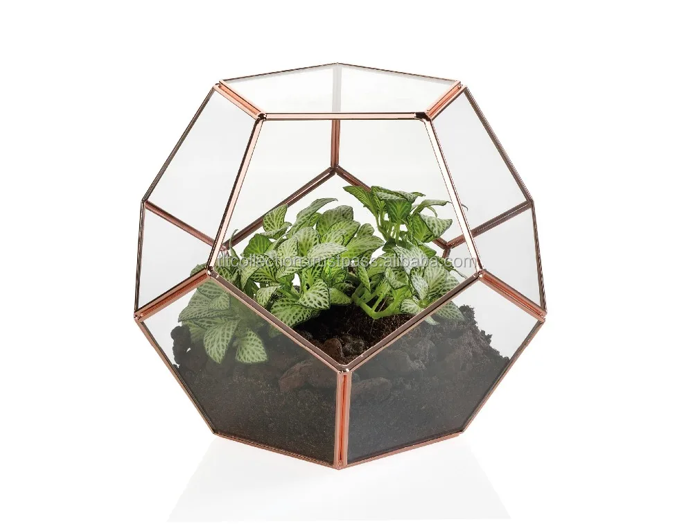 Glass gold copper geometric terrarium