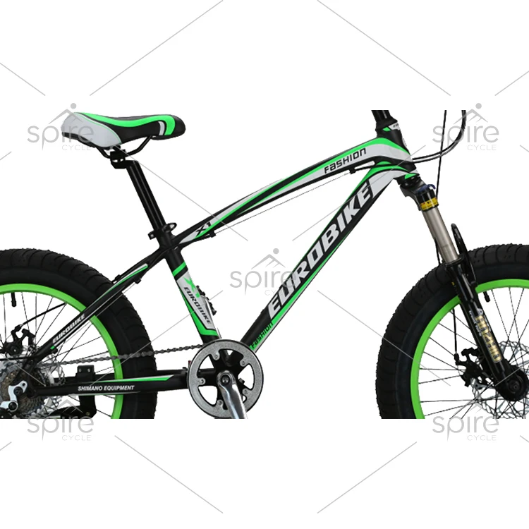chinese classic 20 inch alloy frame fat tire bikes from Taiwan
