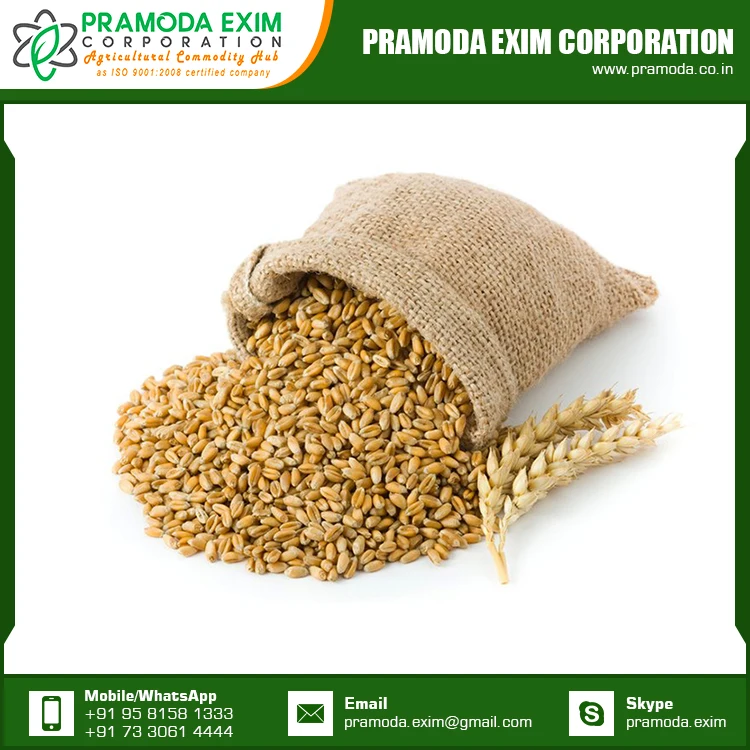 Dried Wheat Flour at Lowest Price