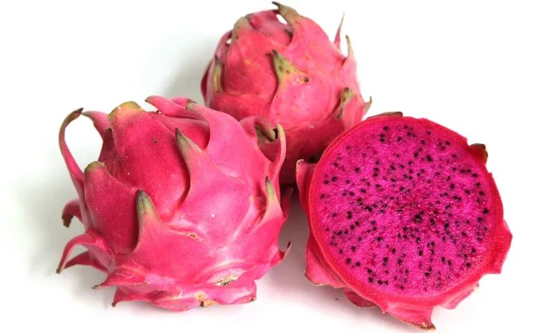 
Fresh Red Dragon Fruit For Sales 