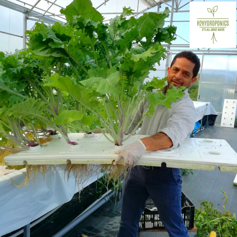 Hybrid hydroponics for vertical garden, farming and aquaponics