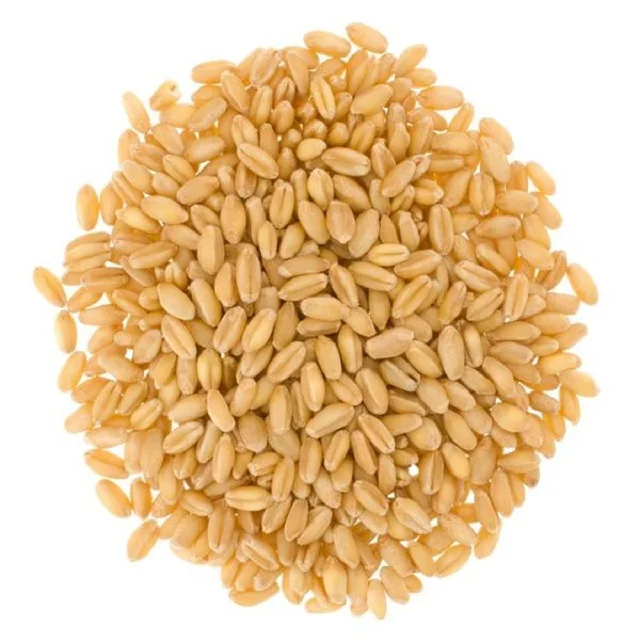 
Dried Style Milling Wheat For Bread Making/ Quality Wheat grains For Sale 