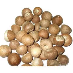 
Dried Areca Nut/Areca Nuts/ Organic Dried Areca Nuts Origin VietNam 