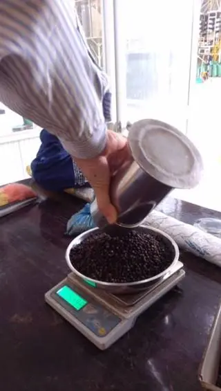 FINDING BLACK PEPPER BUYERS - Whatsapp (+84)946129967 - ms.April