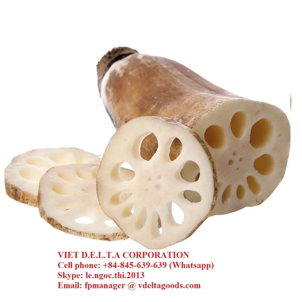 Viet Nam lotus root fresh frozen