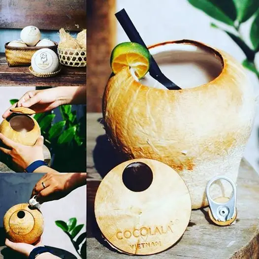Большой поставщик свежего кокоса Вьетнам (праздник + 84 845 639 639)