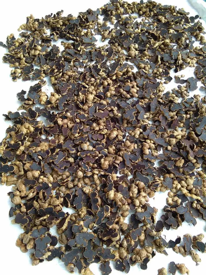 
BLACK GINGER EXTRACT /whatsapp: +84 845 639 639 