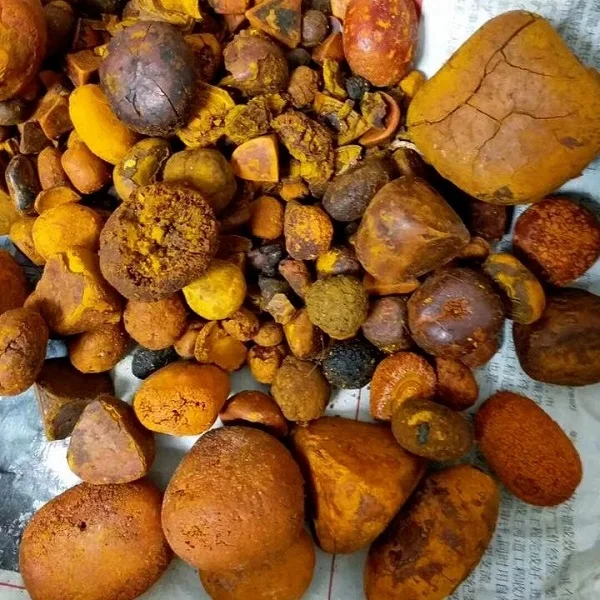 Quality Cow Gallstone for sale