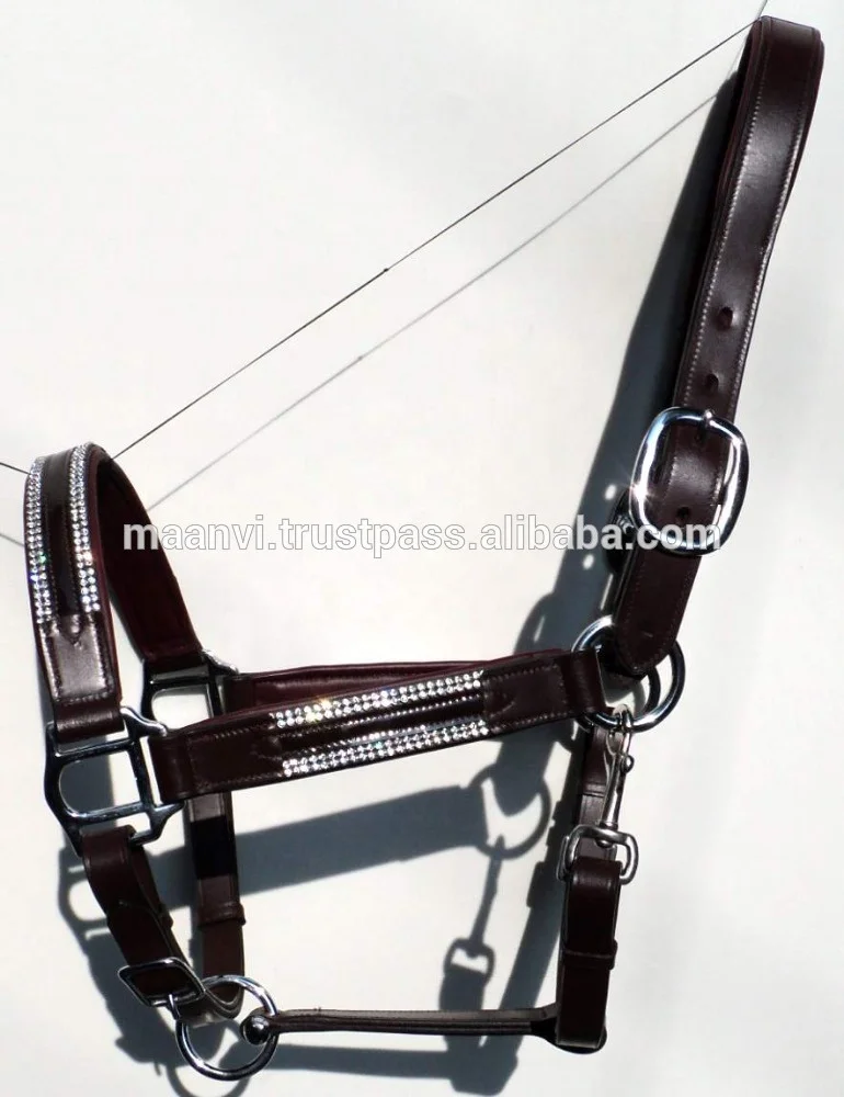 Classic Halter leather hater comfortable Genuine Leather Padded Horse Halter and Head collar Leather Adjustable Halter