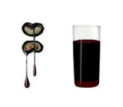 Best Price Cashew Nut Shell Oil From Vietnam With High Quality From Agenas Viet Nam AGENAS