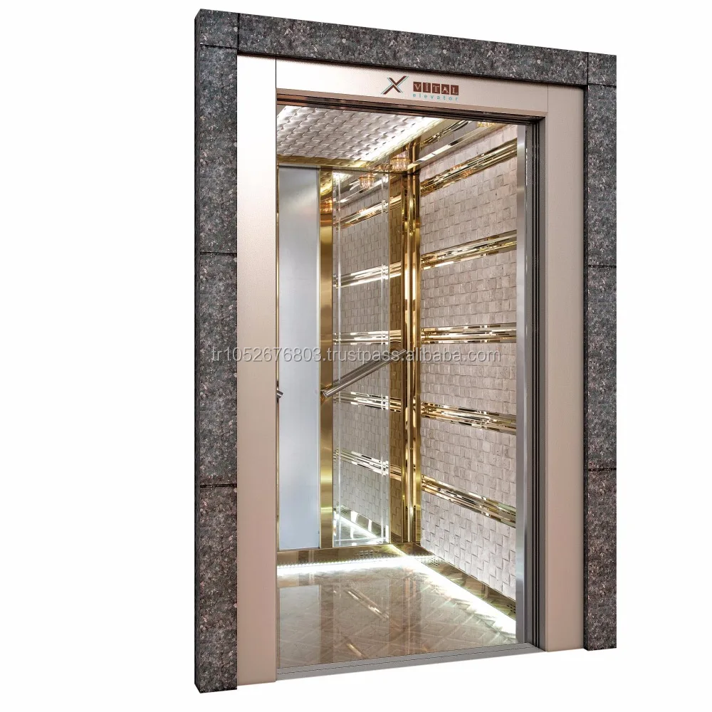 Elevator Door Elevator Parts Small Home Lift Load Lift Hospital Lift Vital Elevator Small Cabin Passenger Ascenseur 2 Years VTO