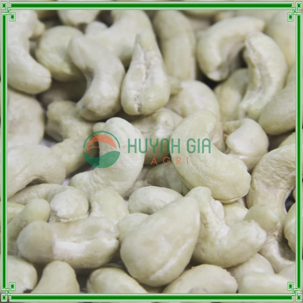 
CASHEW NUTS KERNEL WW320/CASHEW NUTS PRICE 