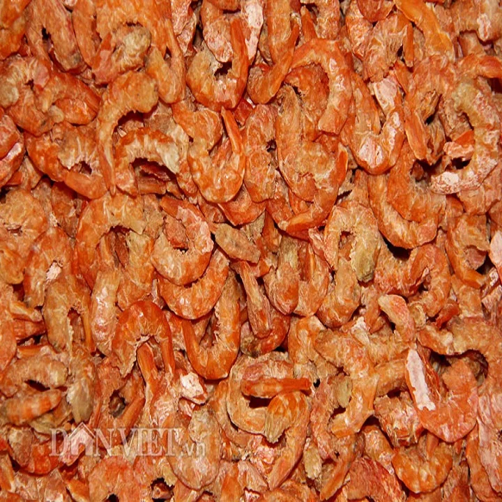 
Dried Shrimp 