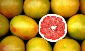 Grapefruit 100% Natural and Pure Hydrosol Floral Water