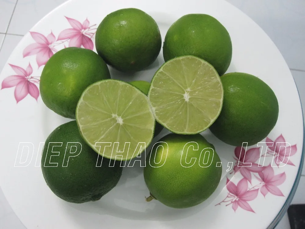 FRESH LIME SEEDLESS/ DRIED LIME SLICES