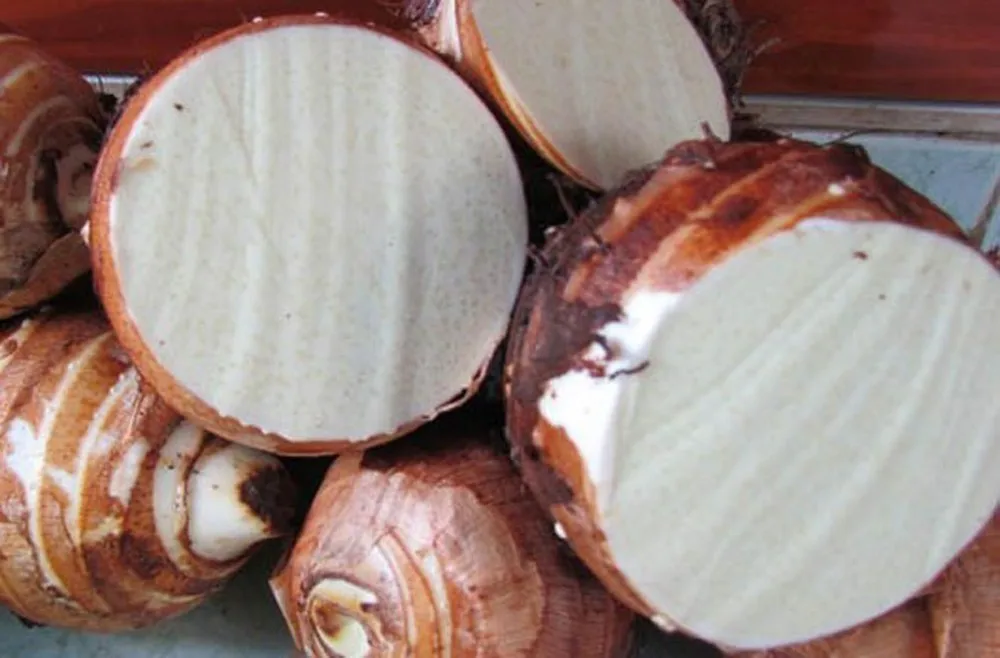  Замороженный TARO/Замороженные овощи 2020 - Whatsapp + 84 845 639