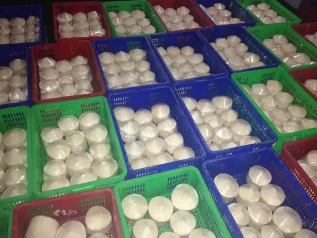 FRESH YOUNG COCONUT VIETNAM (CHEAP PRICE AND HIGH QUALITY)/ Vivan Ha +84 33 882 0 462