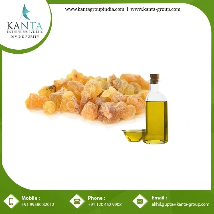 Standard Quality Aromatherapy Properties Frankincense Oil at Wholesale Price from Indian Supplier