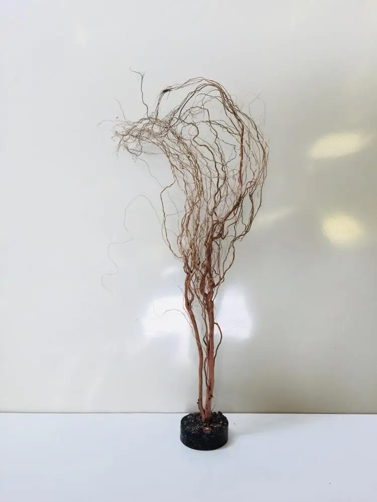 Nano aquarium driftwood