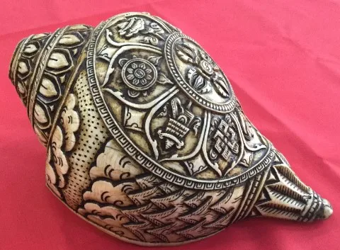 8 Lucky Auspicious Signs Carved Conch Shell