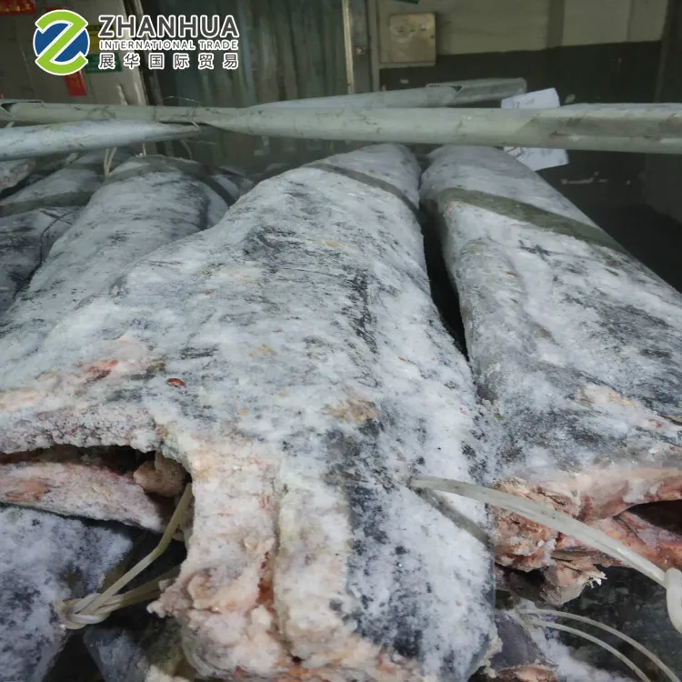 Taiwan Black  Marlin HGT Sea Frozen  For Sri Lanka
