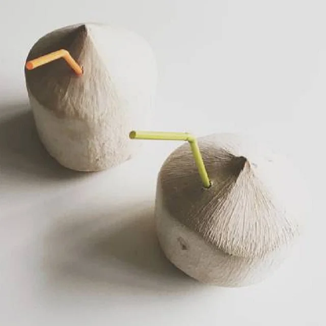 
Young Tender Coconuts 