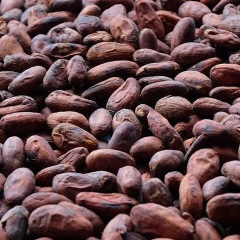 Organic Cocoa (Cacao) Beans/Nibs/Butter/Liquor/Powder