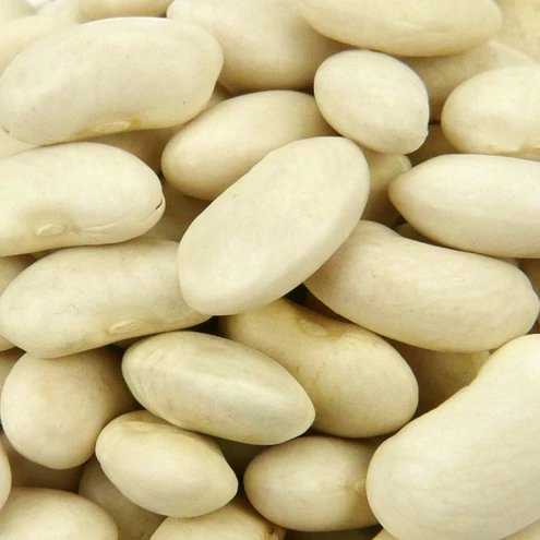 
New crop baby lima beans 