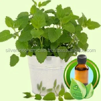 hot sale java citronella oil