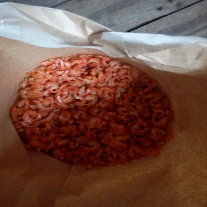 
Dried Shrimp 