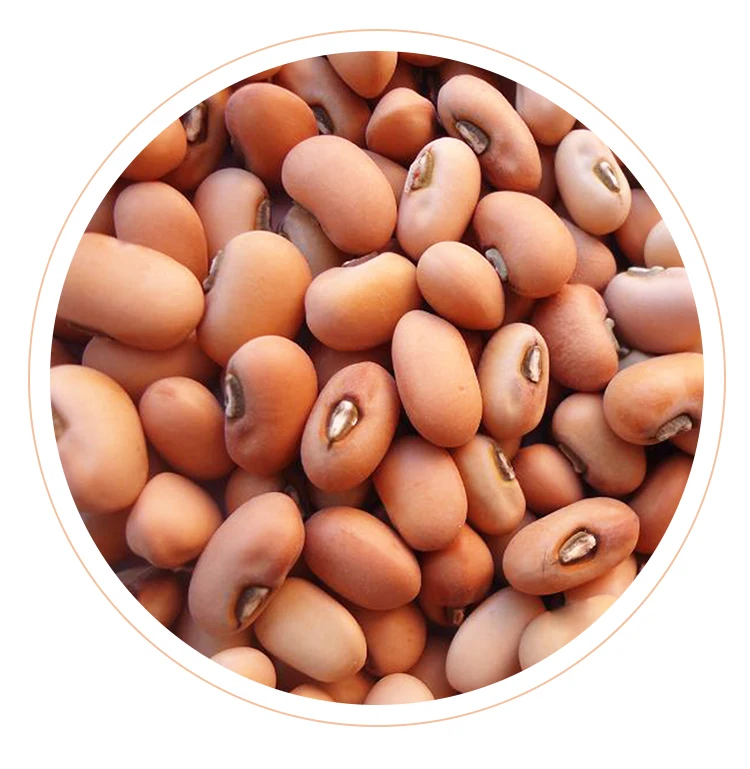 
Bulk Natural Dried Cow Peas Kidney Beans 