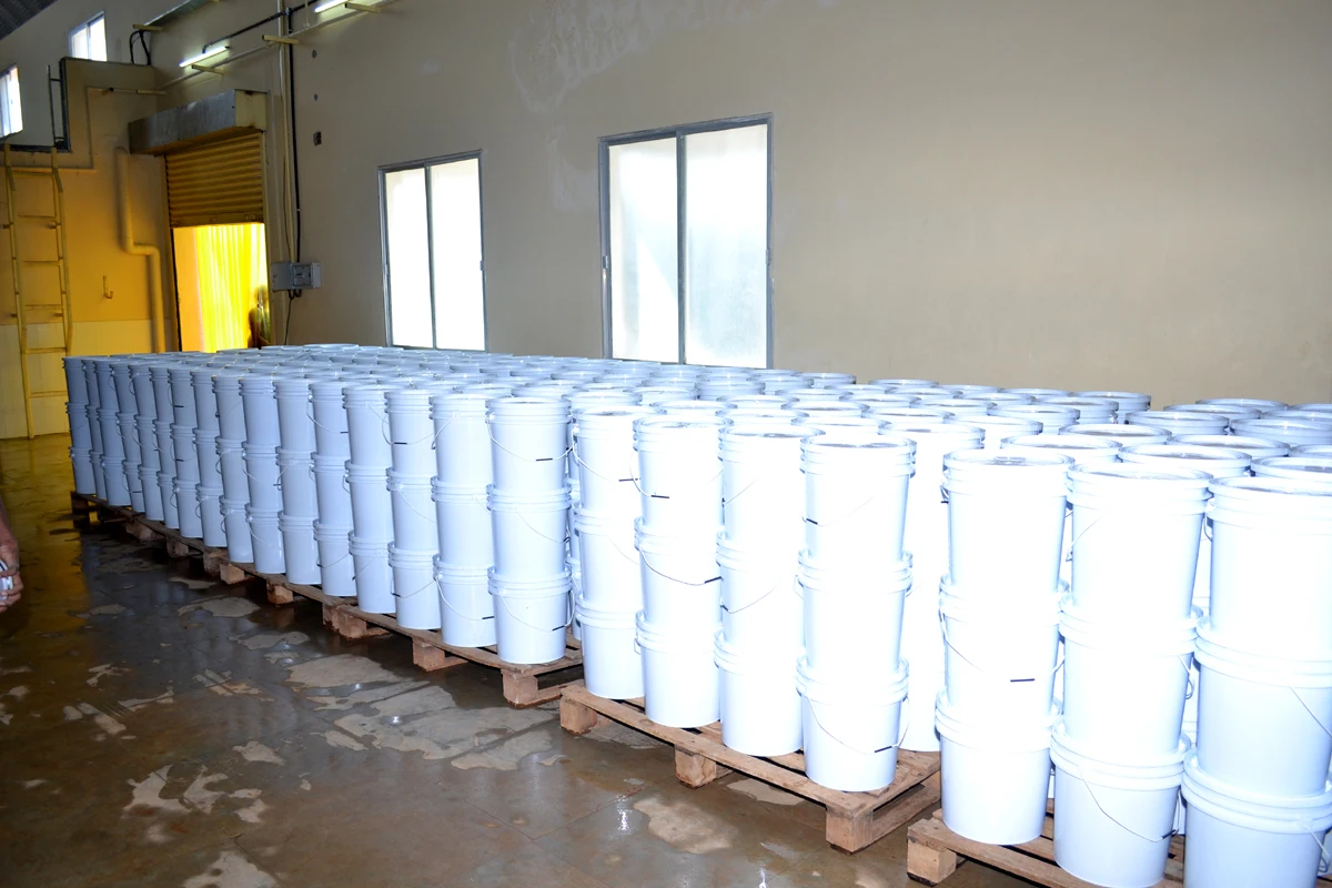 GHERKINS IN PLASTIC BUCKETS