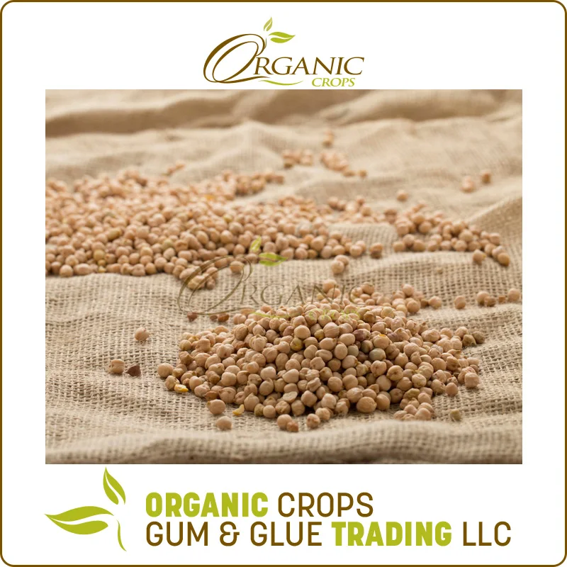 
Quality Chickpea/Chick Pea Market Price 