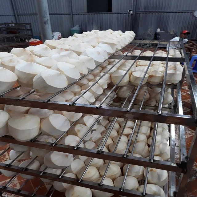 RED DRAGONFRUIT, WHITE DRAGON FRUIT