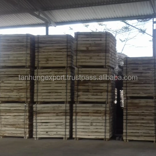 
Acacia sawn timber - acacia wood - Acacia timber making pallet selecting well 