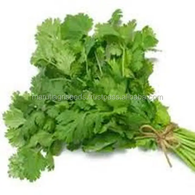 
CORIANDER SEEDS FOR PRICES FOR France 