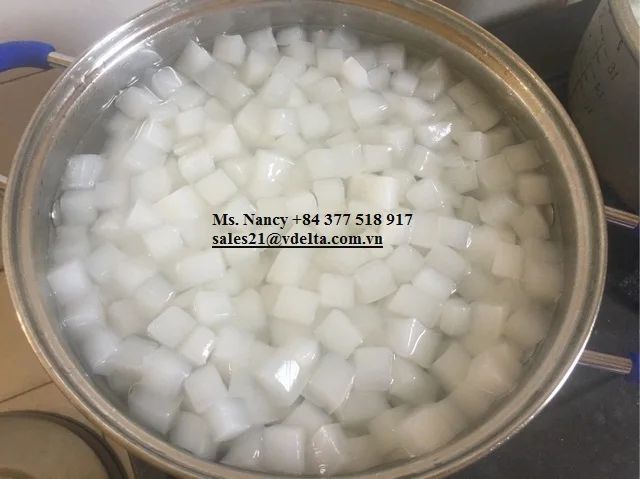Высококачественное кокосовое желе/Сырье NATA DE COCO высокое качество и низкая цена во Вьетнаме MS JENNY