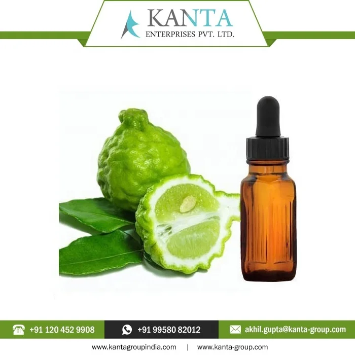 OEM Supply 100% Natural and Organic Aromatherapy Grade Bergamot Essential Oil Used for Skin Care at Factory Price