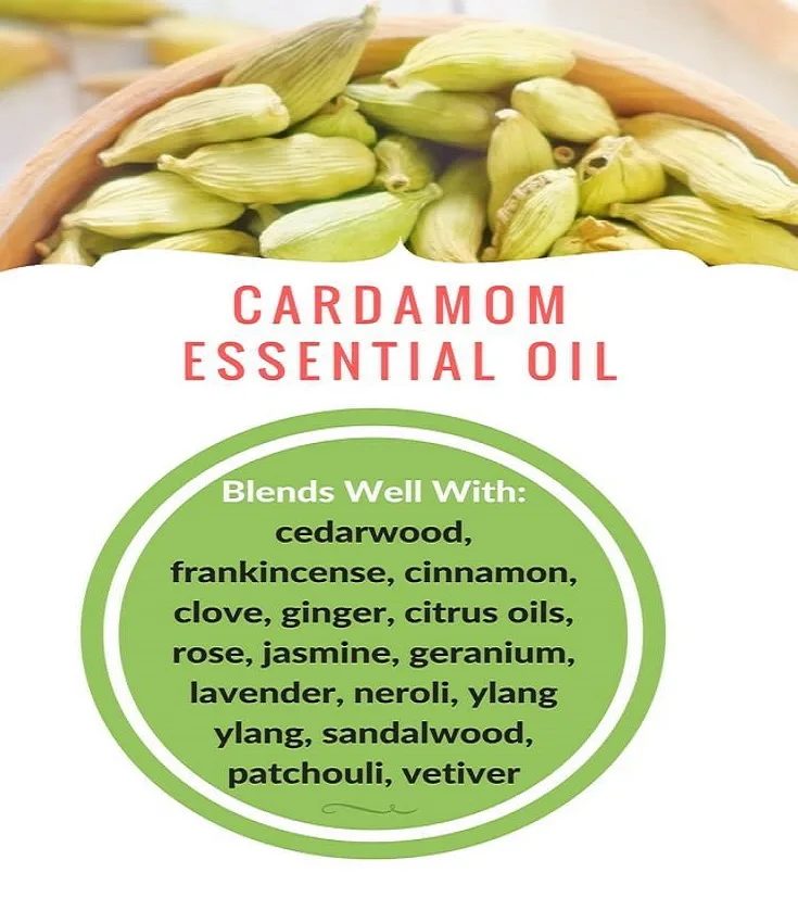 Cardamom Essential oil manufacturer supply - 100% pure cardamom oil with bulk price