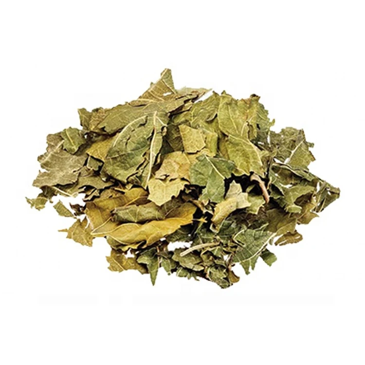 Blackberry Leaves Tea - Healing, antioxidant, menopause