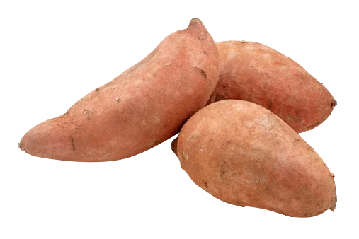 VIETNAM SOFT POTATO / BATATA (WHATSAPP+84-845-639-639)
