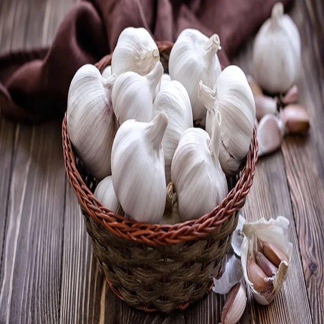Indian Garlic Oleoresin at cheap price