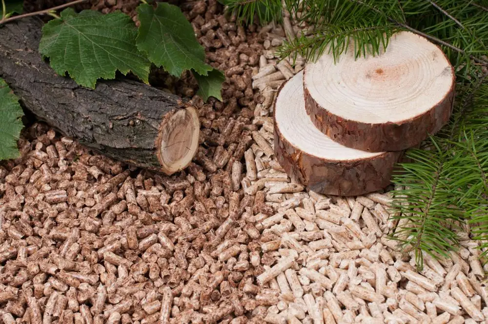 Beech / Oak / Poplar  Briquettes Biomass Fuel Pine Oak Wood Pellets Wood pellets price ton
