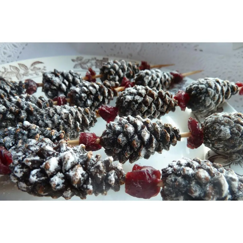Siberian Candy Sweets made of Pine Cone