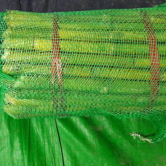 Свежий сахарный тростник