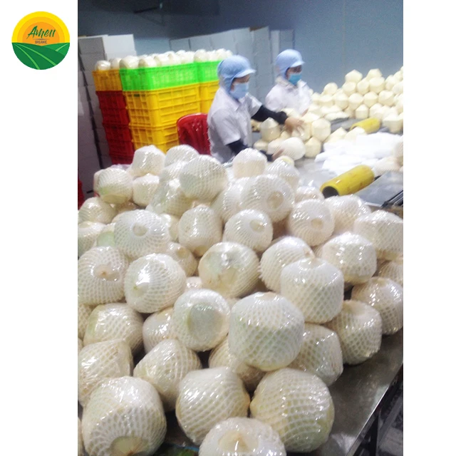 Кокос высшего качества по конкурентоспособной цене из Вьетнама