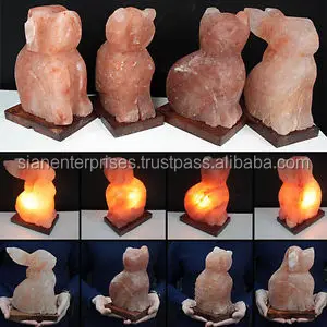Illuminate with Whimsy Himalayan Rabbit Salt Lamp with Bulb and Power Cord - Pink Animal Shape by Sian Enterprises