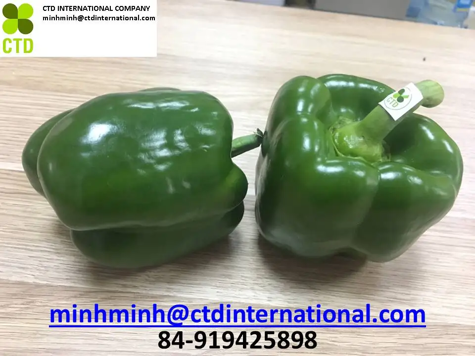
Vietnam fresh green capsicum 