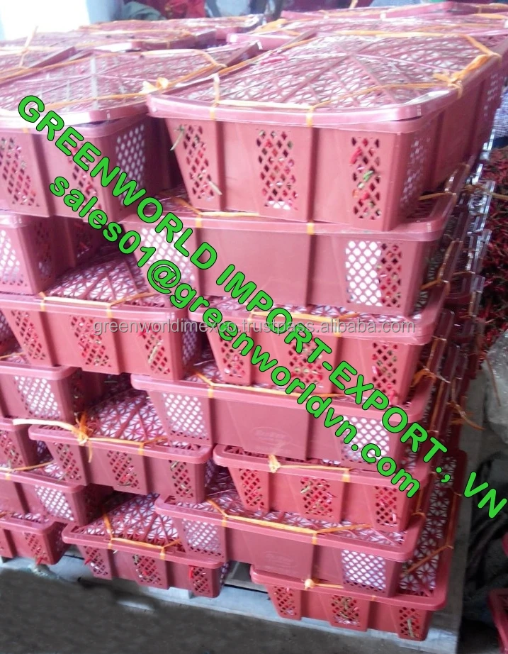 HOT PRICE WITH FRESH CHILLI  FOR GOLD QUALITY FROM VIET NAM